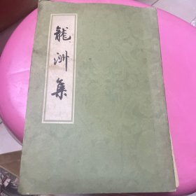 龙洲集