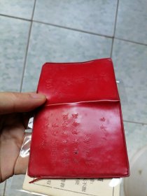 红小兵证