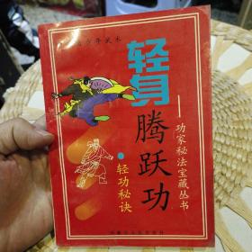 轻身腾跃功 轻功秘诀  范克平 出版社:  内蒙古人民出版社