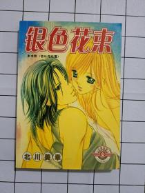 银色花束 1-3全一册