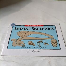 ReadingA-Z     animal  skeletons