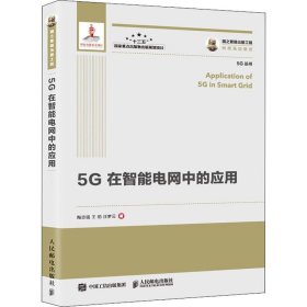 国之重器出版工程5G在智能电网中的应用