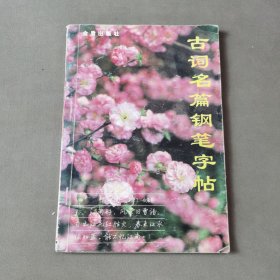 古词名篇钢笔字帖