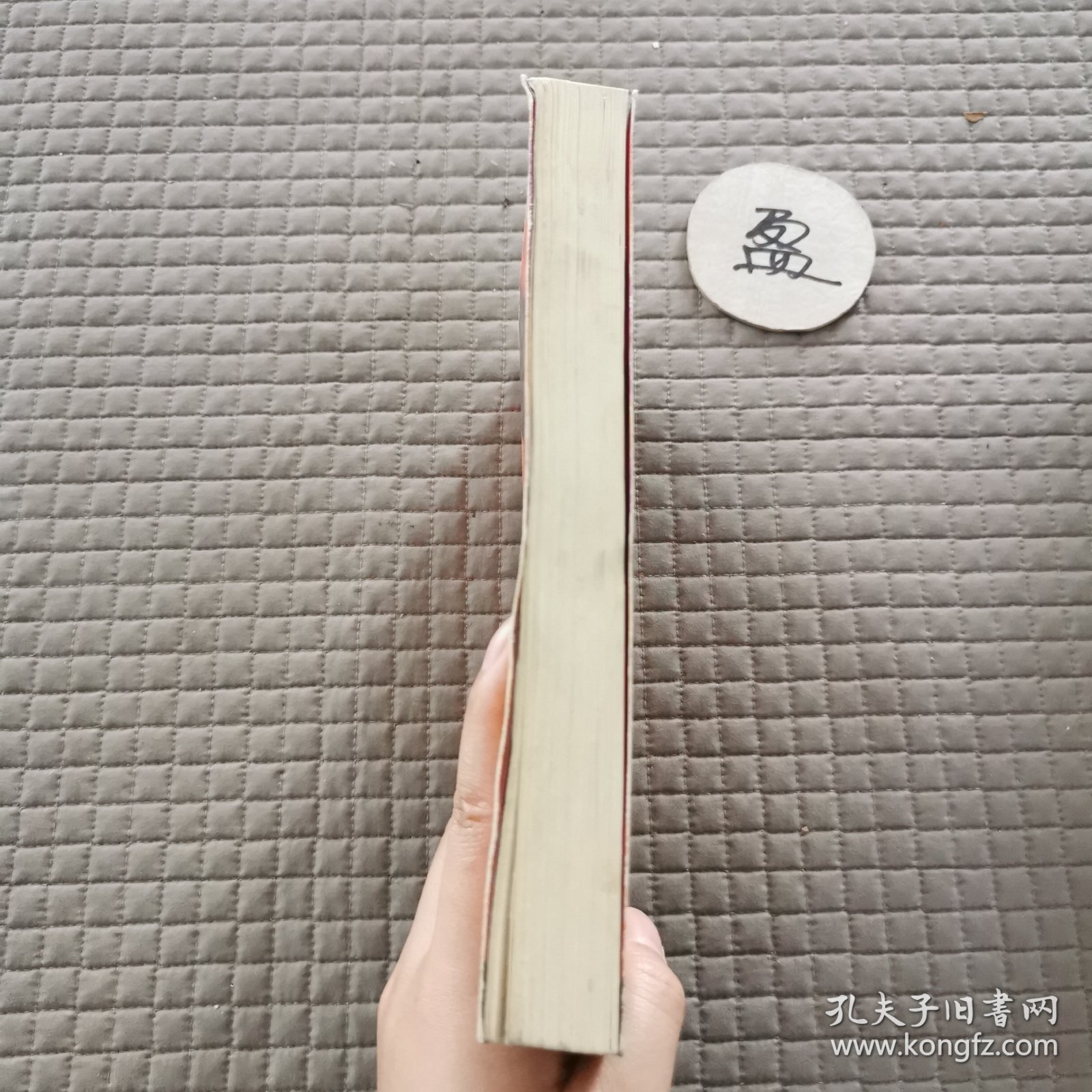 追风筝的人 有笔迹