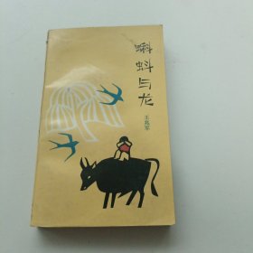 蝌蚪与龙：文学新星丛书