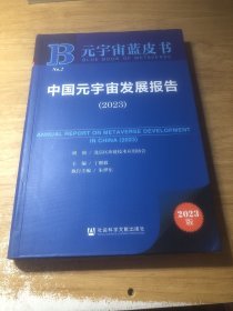 元宇宙蓝皮书：中国元宇宙发展报告（2023）