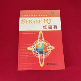 SYBASE IQ 红宝书