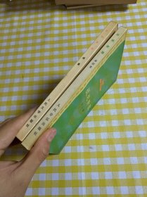战地新歌（续集+第四集）