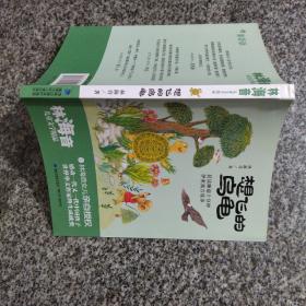 想飞的乌龟（林海音儿童文学精品）