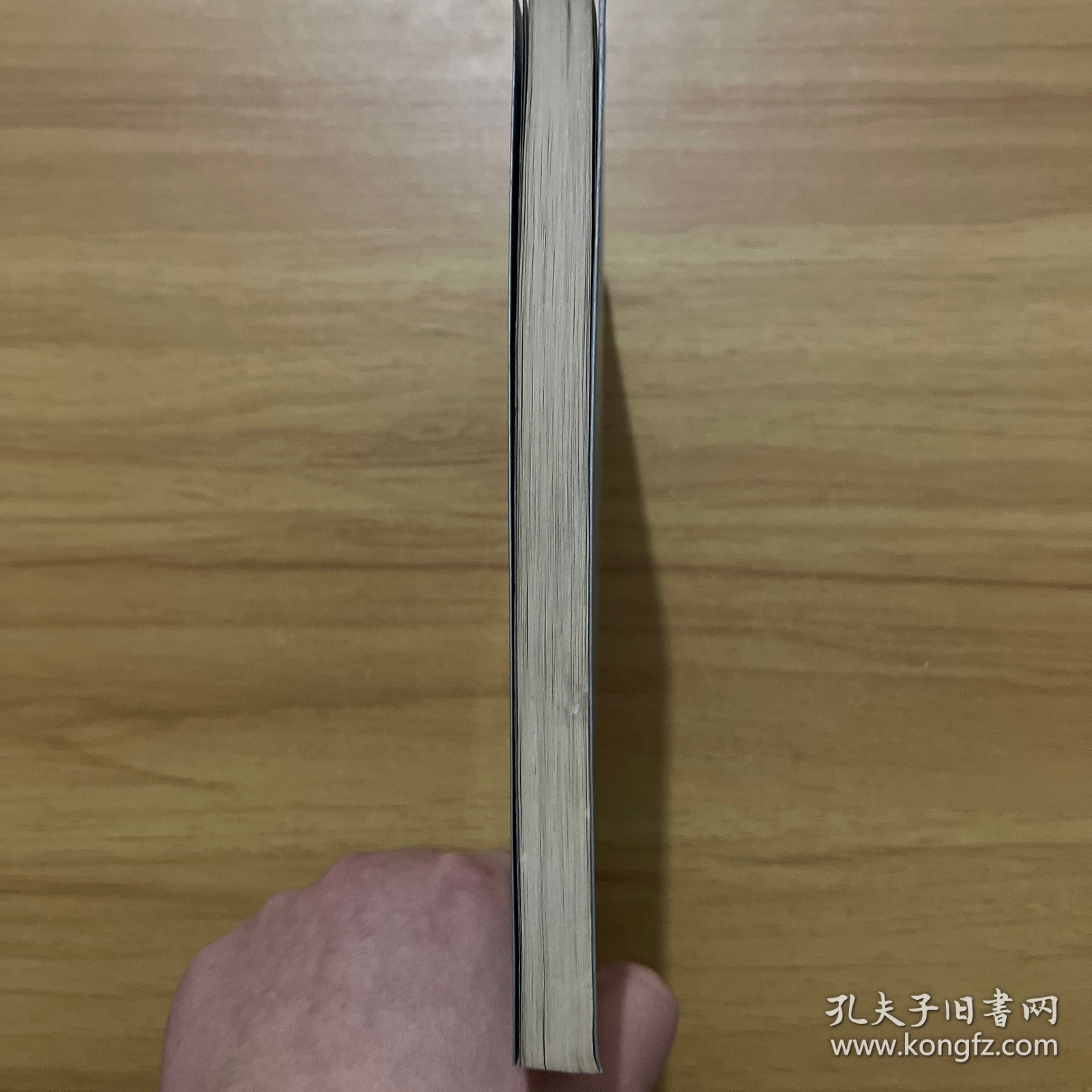 高原上的村庄:石干成小说集