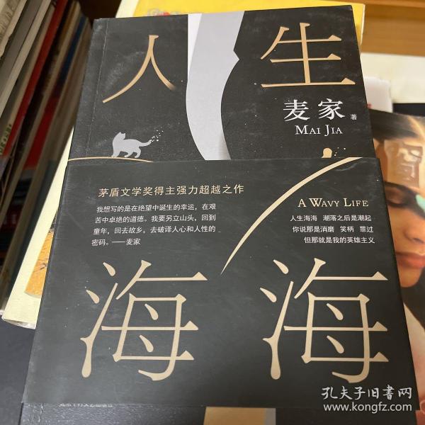 麦家：人生海海（茅盾文学奖得主麦家2019年强力之作）