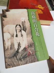 高原的百合花