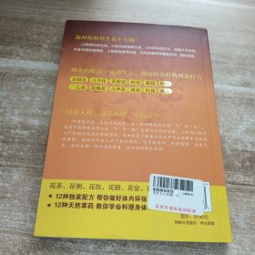 花养女人幸福一生