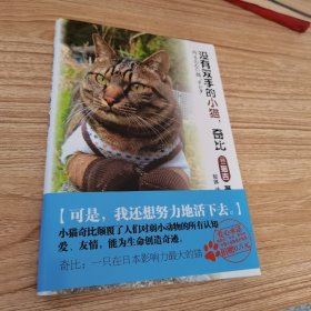 没有双手的小猫，奇比