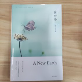 新世界：灵性的觉醒