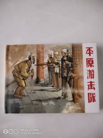 平原游击队(小精)仅拆封未阅