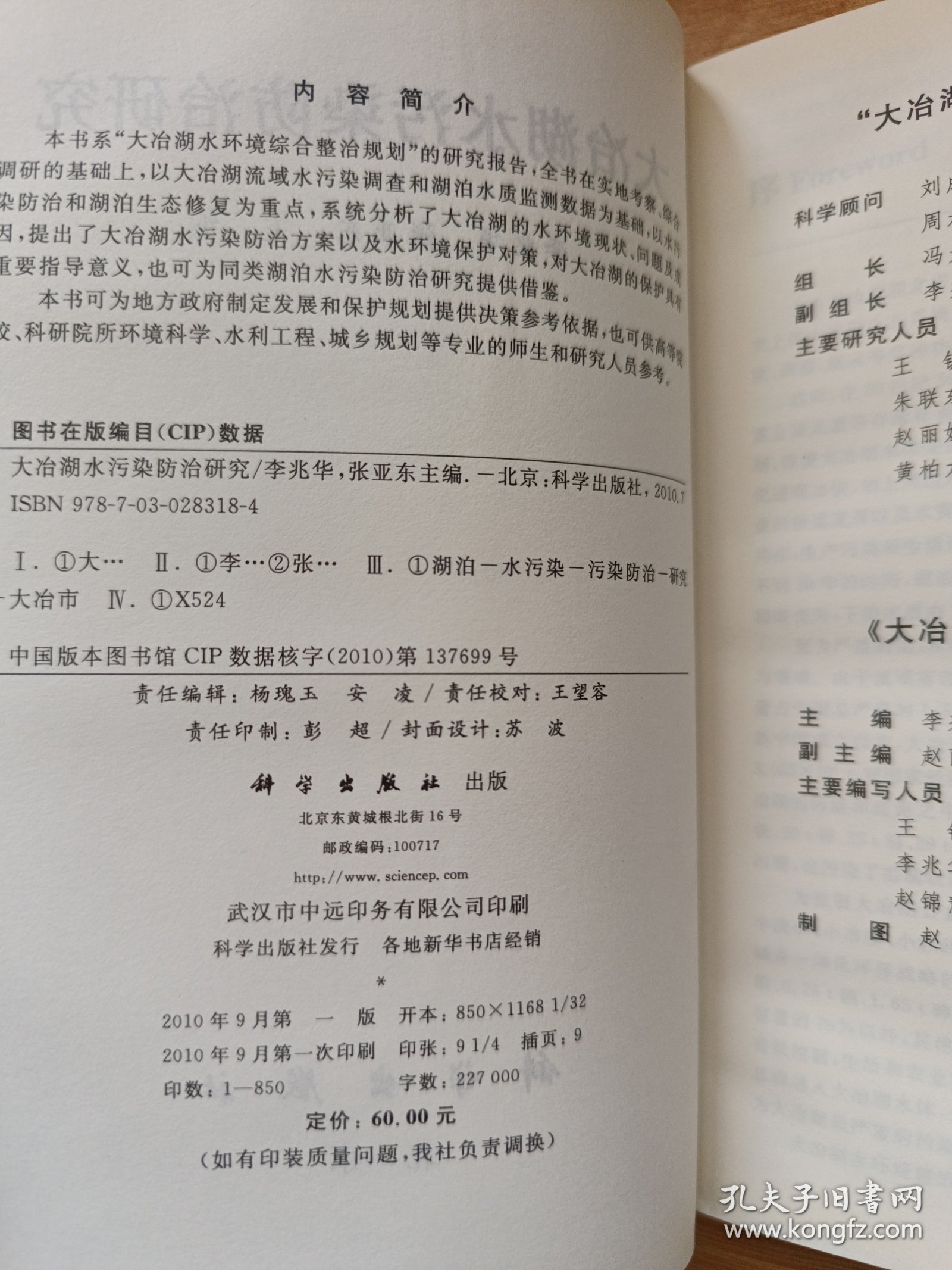 大冶湖水污染防治研究