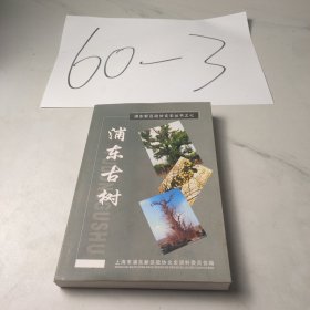 浦东古村