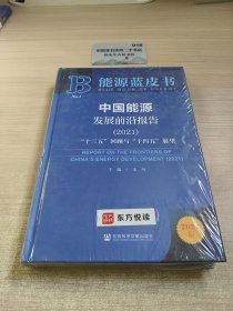 能源蓝皮书：中国能源发展前沿报告（2021）“十三五”回顾与“十四五”展望