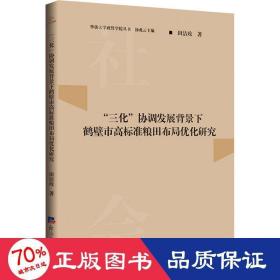 “三化”协调发展背景下鹤壁市高标准粮田布局优化研究