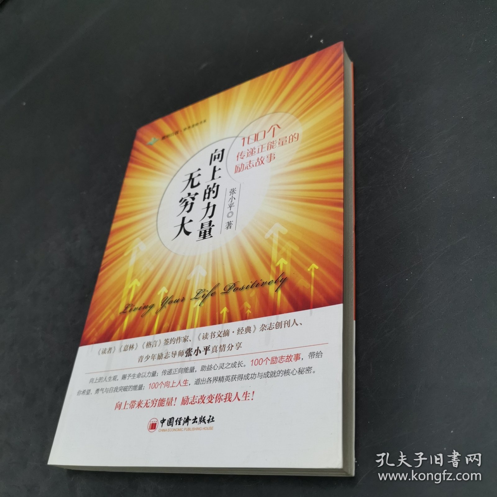 向上的力量无穷大：100个传递正能量的励志故事