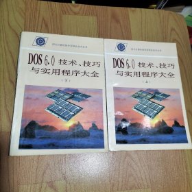 DOS6.0技术 技巧与实用程序大全 上下