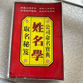 姓名学 取名秘笈 公司命名宝典