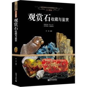 天工雕琢：观赏石收藏与鉴赏