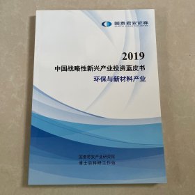 2019中国战略性新兴产业投资蓝皮书：环保与新材料产业