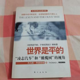 世界是平的：《世界是平的：21世纪简史》姊妹篇【内页干净】