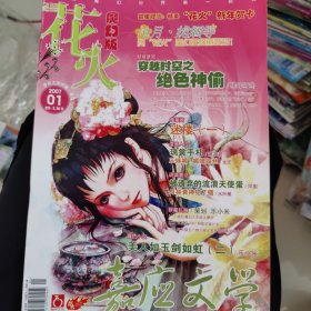 飞魔幻2007年01月