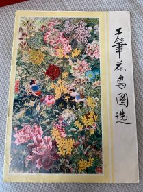 1978年工笔花鸟图选