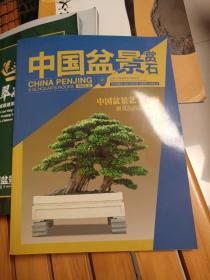 中国盆景赏石 2023-6  中国盆景艺术大师谢克英的盆景情怀