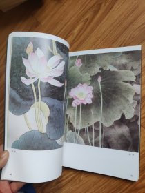 名家国画技法 荷花画谱