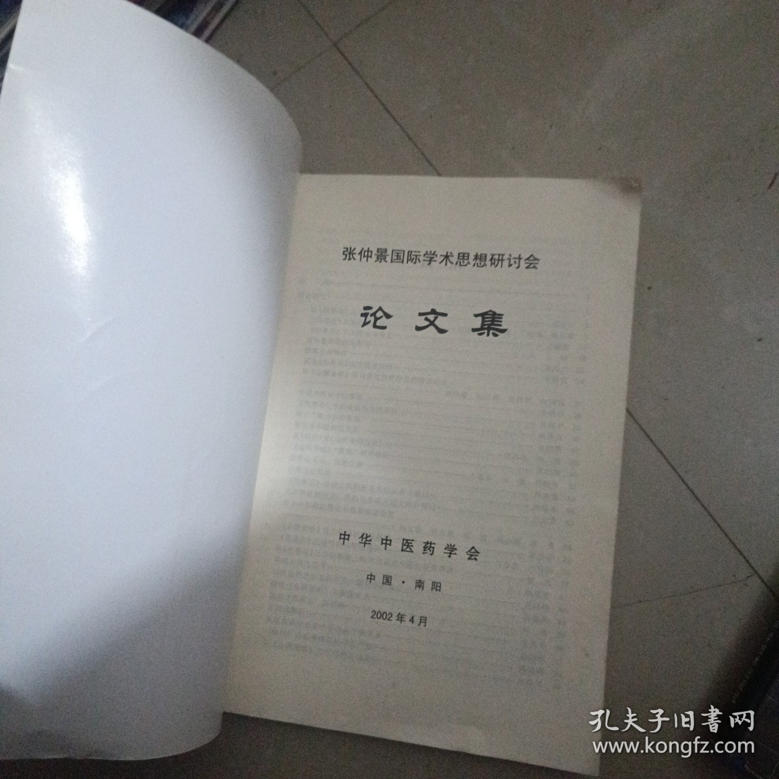 张仲景国际学术思想研讨会论文集