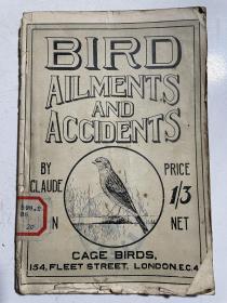1919年英文版养鸟指南：bird ailments and accidents and how to treat them