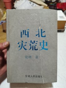 西北灾荒史