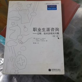 职业生涯咨询：̡过程、技术及相关问题