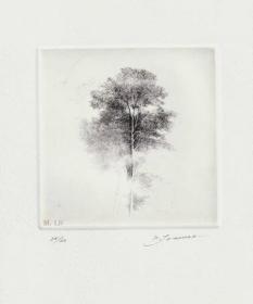 日本-户村茂树（Shigeki Tomura）铜版画藏书票《树的影子》