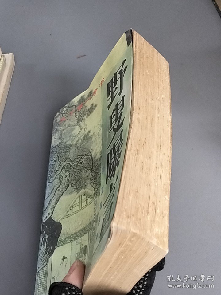 野叟曝言上