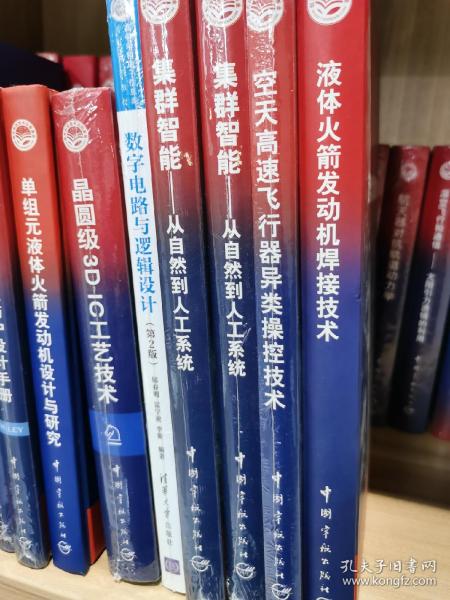 集群智能:从自然到人工系统