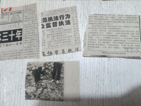 八十年代中外明星剪报图片(有杨澜,沈培艺,陈肖依等)九张合售