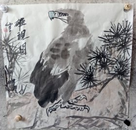 雄视2