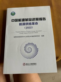 中国能源革命进展报告能源供给革命（2022）