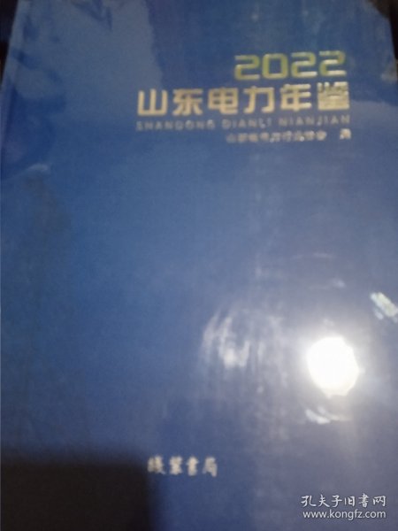 山东电力年鉴（2022）全新未拆封