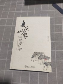 真实世界的经济学