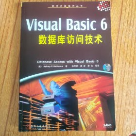 Visual Basic 6数据库访问技术