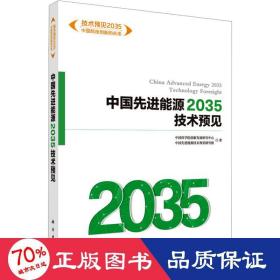 中国能源2035技术预见 能源科学 学院创新发展研究中心,中国优选能源技术预见研究组