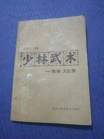 少林武术 炮捶大红拳