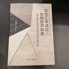 实际汇率波动与宏观经济政策—基于新开放经济宏观经济学的分析